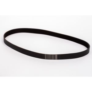 CORREIA POLY V PJ813 FRISOS CYCLOTRONICS